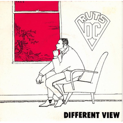 Ruts DC Different View Vinyl 7" USED