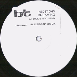 BT Dreaming Vinyl 12" USED