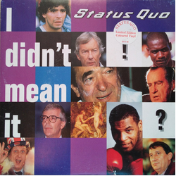 Status Quo I Didn't Mean It Vinyl 7" USED
