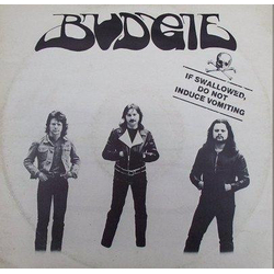Budgie If Swallowed, Do Not Induce Vomiting Vinyl 12" USED