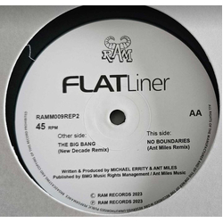 Flatliner The Big Bang / No Boundaries (Remixes) Vinyl 12" USED