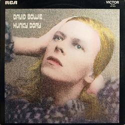 David Bowie Hunky Dory Vinyl LP USED