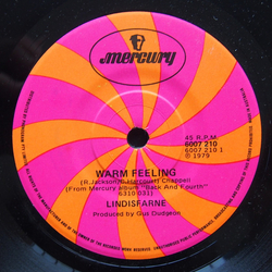 Lindisfarne Warm Feeling Vinyl 7" USED