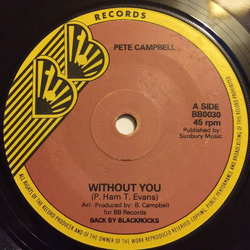 Pete Campbell / Blackrocks Without You Vinyl 7" USED