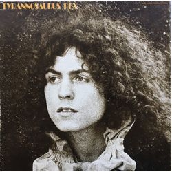 Tyrannosaurus Rex A Beard Of Stars Vinyl LP USED