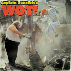 Captain Sensible Wot! Vinyl 7" USED