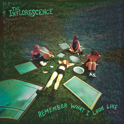 The Inflorescence Remember What I Look Like Vinyl LP USED