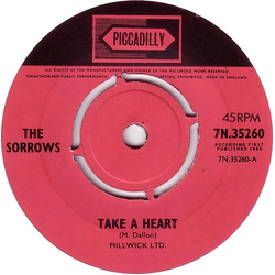 The Sorrows Take A Heart Vinyl 7" USED