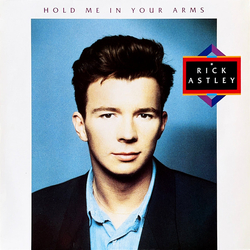 Rick Astley Hold Me In Your Arms Vinyl LP USED