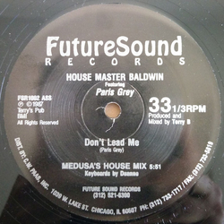 Terry Baldwin / Paris Grey Don't Lead Me Vinyl 12" USED