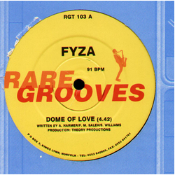 FYZA Dome Of Love Vinyl 12" USED