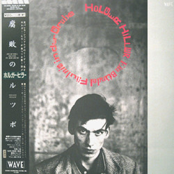 Holger Hiller Ein Bündel Fäulnis In Der Grube = 腐敗のルツボ Vinyl LP USED