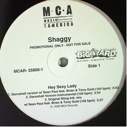 Shaggy Hey Sexy Lady Vinyl 12" USED