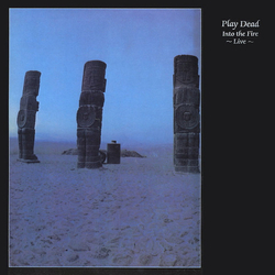 Play Dead (2) Into The Fire ~ Live ~ Vinyl LP USED