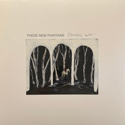These New Puritans Crooked Wing Vinyl LP USED
