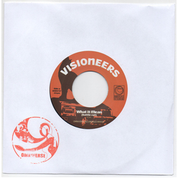 Visioneers What It Mean (Battle Cut) Vinyl 7" USED