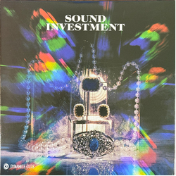 Sound Investment Funky Skunk Vinyl 7" USED