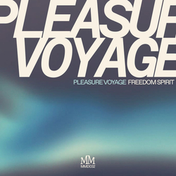 Pleasure Voyage Freedom Spirit Vinyl 12" USED