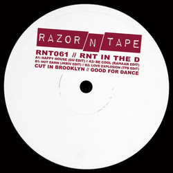 Various RNT In The D Vinyl 12" USED