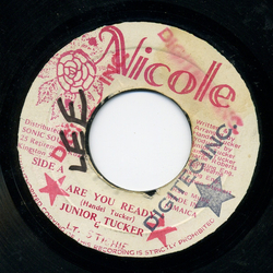 Junior Tucker Are You Ready Vinyl 7" USED