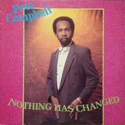 Pete Campbell Nothing Has Changed Vinyl LP USED