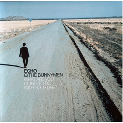 Echo & The Bunnymen What Are You Going To Do With Your Life? Vinyl LP USED