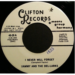 Sammy Campbell / Del-Larks I Never Will Forget / Baby Come On Vinyl 7" USED