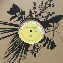 Tropicantesimo Session 1 Vinyl 12" USED