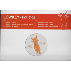 Lowkey Politics Vinyl 12" USED