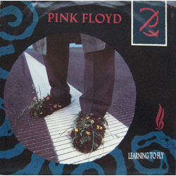 Pink Floyd Learning To Fly Vinyl 7" USED
