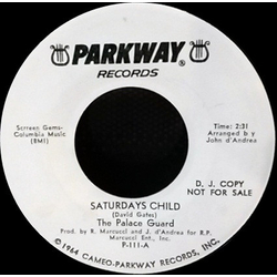 The Palace Guard Saturdays Child Vinyl 7" USED