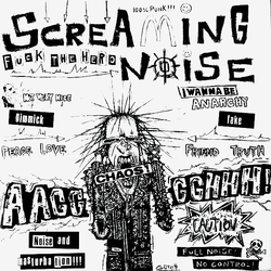 Screaming Noise Fuck The Hero Vinyl 7" USED