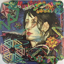 Todd Rundgren A Wizard, A True Star Vinyl LP USED