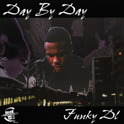 Funky DL Day By Day Vinyl 12" USED