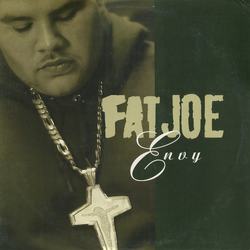 Fat Joe Envy / Firewater Vinyl 12" USED
