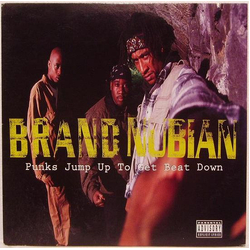Brand Nubian Punks Jump Up To Get Beat Down Vinyl 12" USED