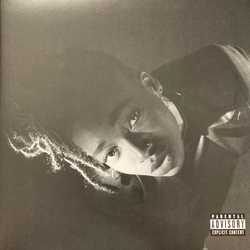 Little Simz Grey Area Vinyl LP USED