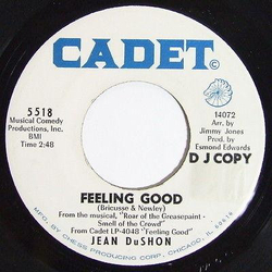 Jean DuShon Feeling Good Vinyl 7" USED