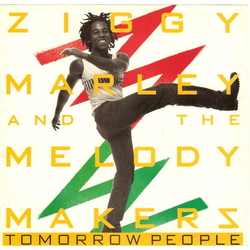 Ziggy Marley And The Melody Makers Tomorrow People Vinyl 7" USED