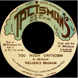 Wellesley Braham Too Much Criticism Vinyl 7" USED