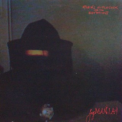 Robyn Hitchcock & The Egyptians Fegmania! Vinyl LP USED