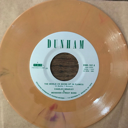 Charles Bradley The World (Is Going Up In Flames) / Heartaches And Pain Vinyl 7" USED