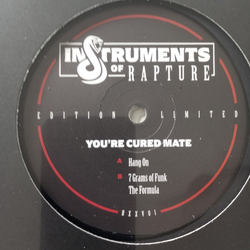 Unknown Artist You're Cured Mate Vinyl 12" USED