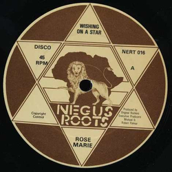 Rosemarie Walters Wishing On A Star / The Way We Were Vinyl 12" USED