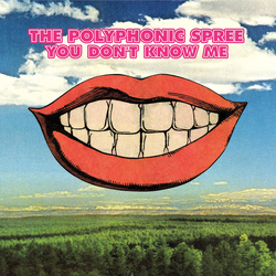 The Polyphonic Spree You Don't Know Me Vinyl 7" USED