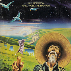 Van Morrison Hard Nose The Highway Vinyl LP USED