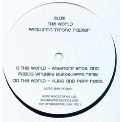 Slam / Tyrone Palmer This World Vinyl 12" USED