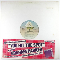 Graham Parker You Hit The Spot Vinyl 12" USED