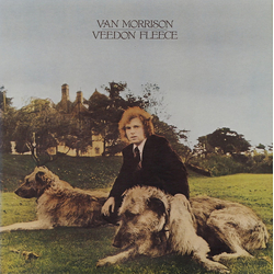 Van Morrison Veedon Fleece Vinyl LP USED