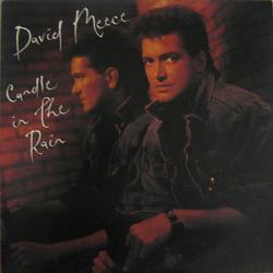 David Meece Candle In The Rain Vinyl LP USED
